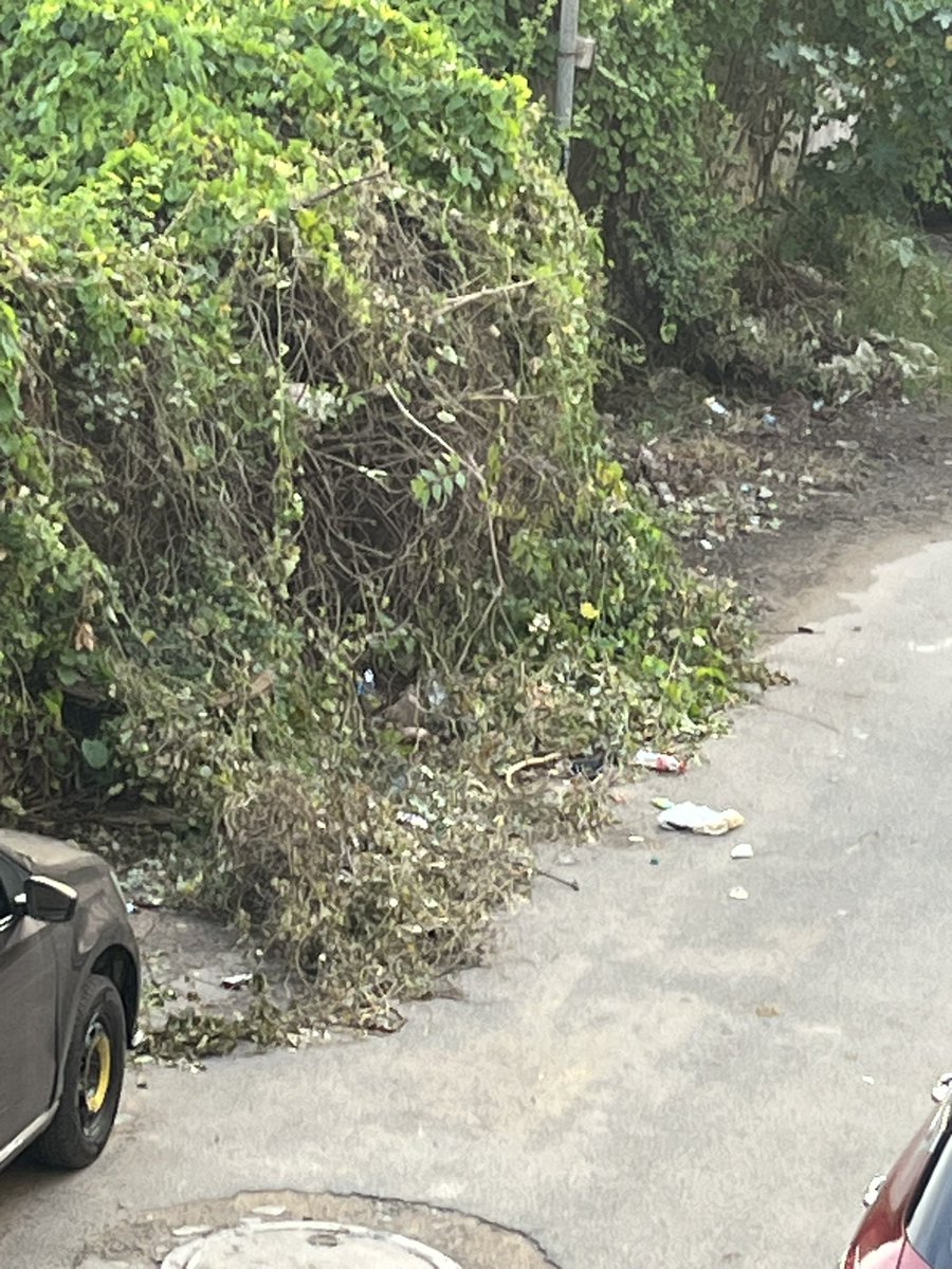 jude0887's tweet photo. @chennaicorp @chennaicorp @TVKVijayHQ @CMOTamilnadu @rhevanth95 in zone 11 ward 154 anadham nagar 4th street even after repeated complaints no action has been in cutting the tree that blocks road and light and the shreaded tree lying on road not cleared. https://t.co/2iCxYGMs1N