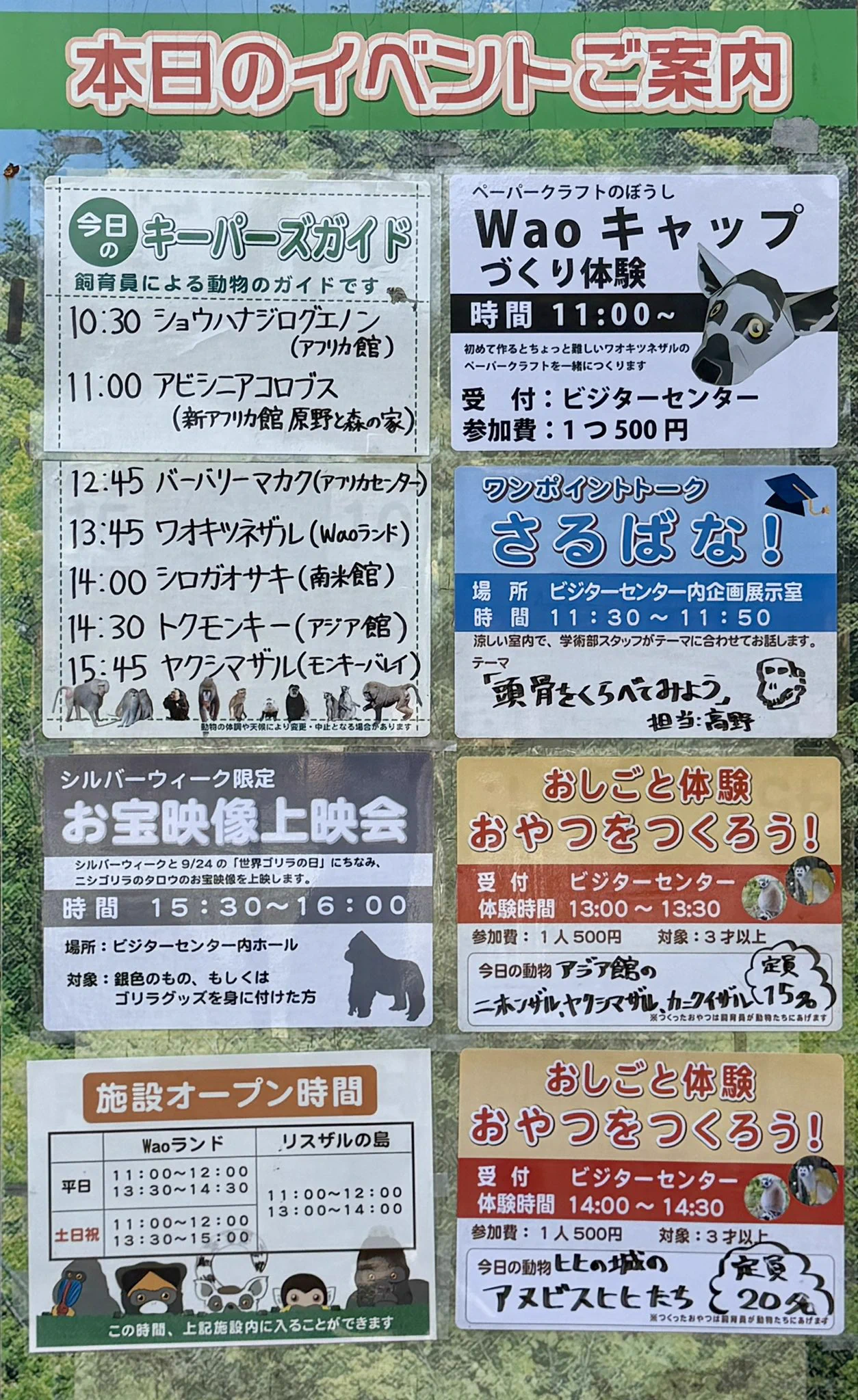 日本モンキーセンター（公式） på X: 