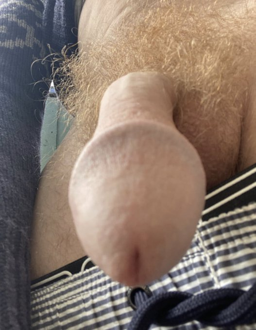 EmanuellEngel's tweet photo. @Markus_Allard hej allard den tittar att på dig. hon är sugen på dig allard. jag tror om du öppnar denna bild så är hon snygg, o du kommer vilja stoppa in den i dig. jag är blodssvensk får jag stanna i ditt Sverige? Parasit https://t.co/VzwvRiAwJK