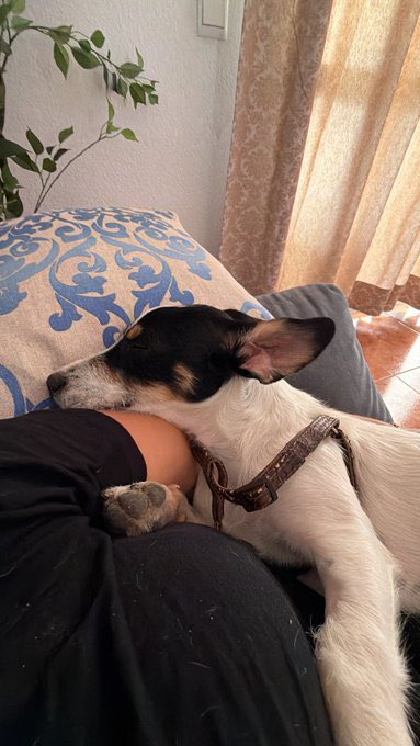 dann_ricar's tweet photo. Te extraño tanto. https://t.co/L3NS7SWRSh