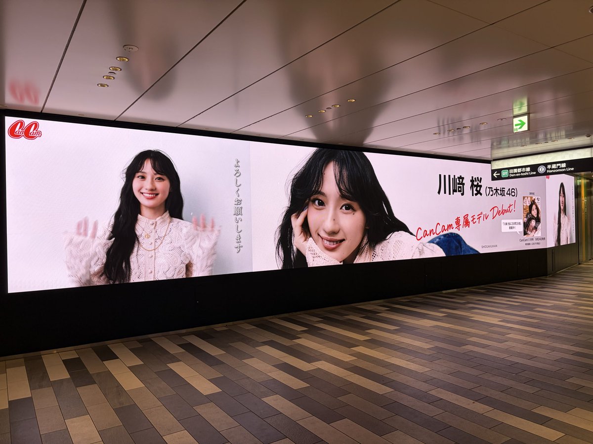 cancamtv's tweet photo. ＼（祝）🌸CanCam専属モデルデビュー!!／
渋谷スクランブルスクエア アーバン・コアB2階 UCチカビジョンに、CanCam新専属モデル 乃木坂46・川﨑 桜の巨大サイネージ広告が登場♡
 
タテ2㍍超・ヨコ16㍍超のスーパーでかでか大画面で、お披露目号であるCanCam11月号（9月24日発売）の撮影現場を切り取ったビハインドムービーをお届けします💓💓💓本人から皆さんへのスペシャルメッセージも🌸🌸🌸
 
■場所 　渋谷スクランブルスクエア アーバン・コアB2階 UCチカビジョン
 
■期間　 ～9/27（日）まで
 
※本件に関する駅及び駅員、渋谷スクランブルスクエアへのお問い合わせはご遠慮ください。また、鑑賞の際はご通行中の方への配慮をお願いいたします。
 
#CanCam　#川﨑桜　#乃木坂46　#さくたん　#モデル