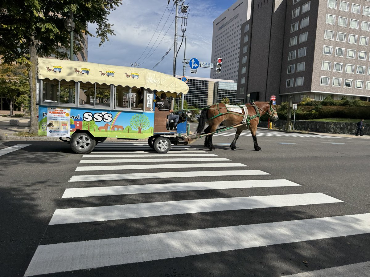 FA_LOVEppears's tweet photo. 今日もダイちゃん見かけました🐎
札幌朝ウォーキング🚶 https://t.co/vRXft4MIEL