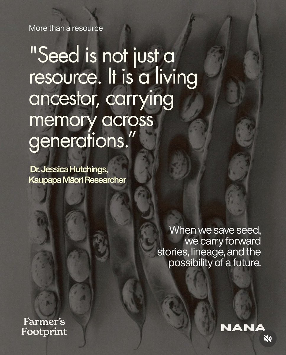 DaleenDynamic's tweet photo. Seed is life. #SaveSoil #SoilFirst #SadhguruJV #cpsavesoil #ConsciousPlanet https://t.co/5ToU8K3bwC