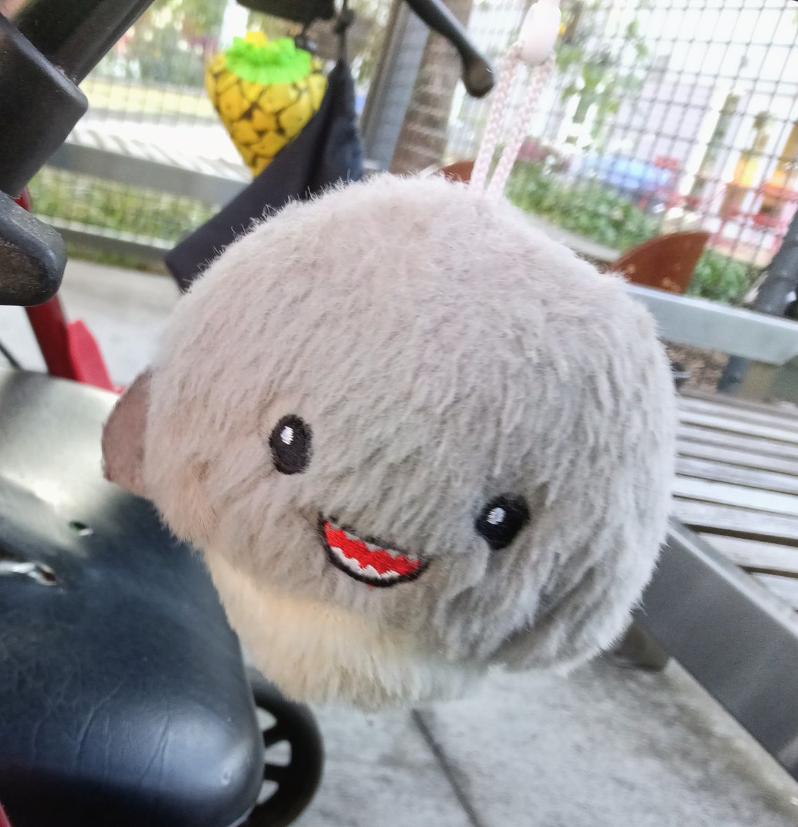 JennyWriterPDX's tweet photo. Pix 9/20/26 ☺️
(L) My stress ball. Squeeze, reduce stress; makes no noise! 😉
(R) Patch repair I did today on my walker. Not perfect, but kind of a stained glass effect up close.
The walker is due mainly to zero cartilage, right ankle; inside, a folding cane. https://t.co/OXpO1v4e0s
