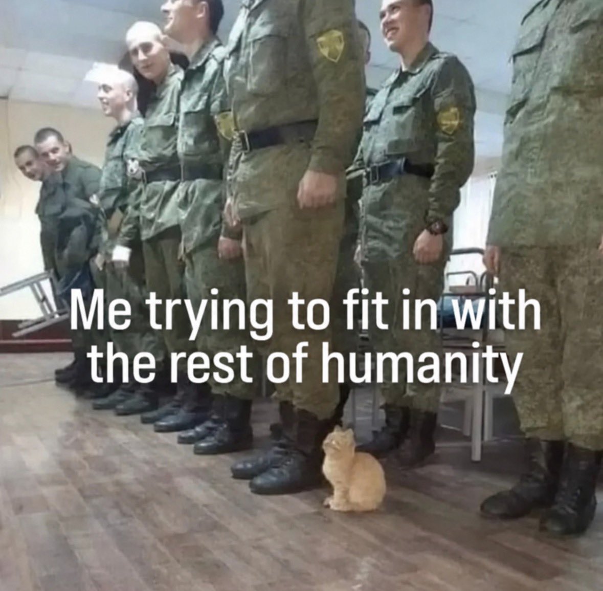 RespectfulMemes's tweet photo. https://t.co/ha5v6Sow3I