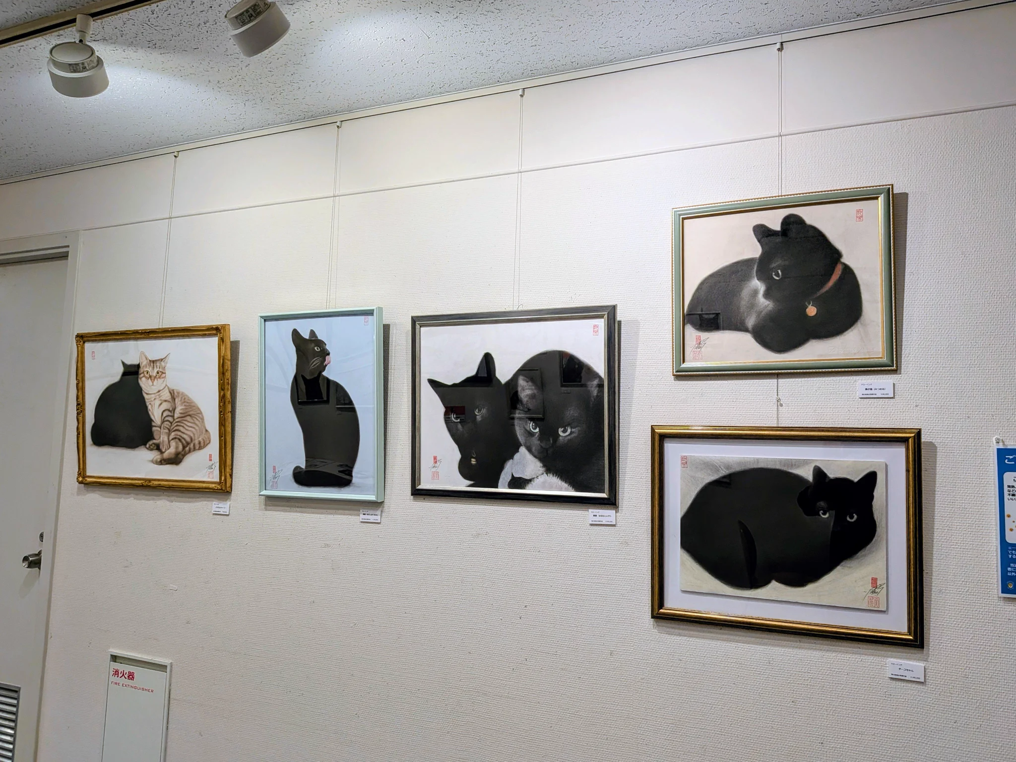 ねこの引出し a X: 