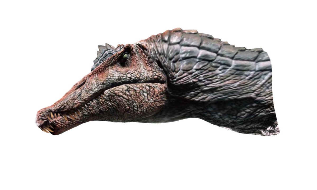 Springmorb's tweet photo. So.. Moving on from all the negativity lately, I've decided I'll do something more fun and productive!

What would Jurassic Park look like if it was made today?
Here's some mockups!

I tried to keep similar but adjusted stylization with more accurate anatomy, hope y'all like em! https://t.co/Bkw1i4bSKc