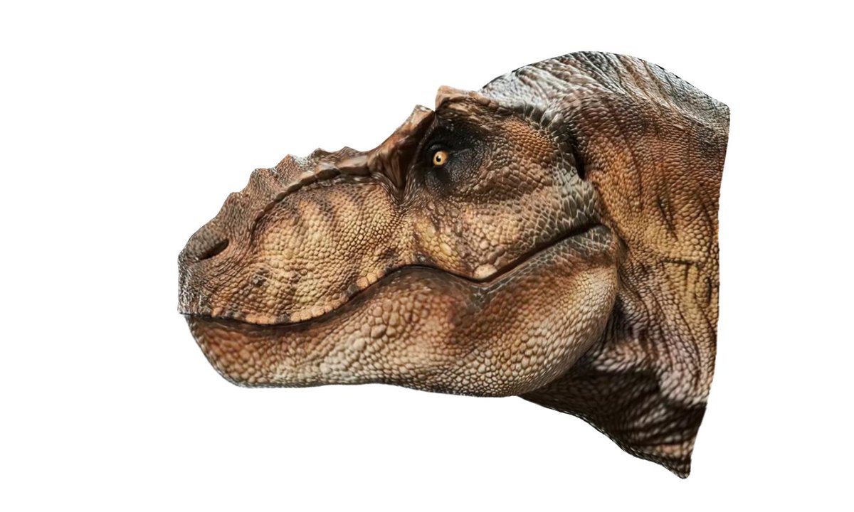 Springmorb's tweet photo. So.. Moving on from all the negativity lately, I've decided I'll do something more fun and productive!

What would Jurassic Park look like if it was made today?
Here's some mockups!

I tried to keep similar but adjusted stylization with more accurate anatomy, hope y'all like em! https://t.co/Bkw1i4bSKc