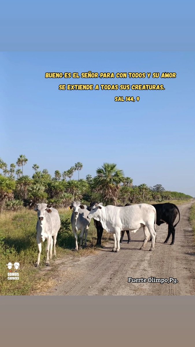 SomoscapacesSc's tweet photo. *OREMOS ANTES DE DORMIR*
🛐
Salmo 144

R. Bendeciré al Señor eternamente.

El Señor es compasivo y misericordioso, lento para enojarse y generoso para perdonar. Bueno es el Señor para con todos y su amor se extiende a todas sus creaturas.

*Somoscapaces, Py.* https://t.co/qXwZh9Fl1I