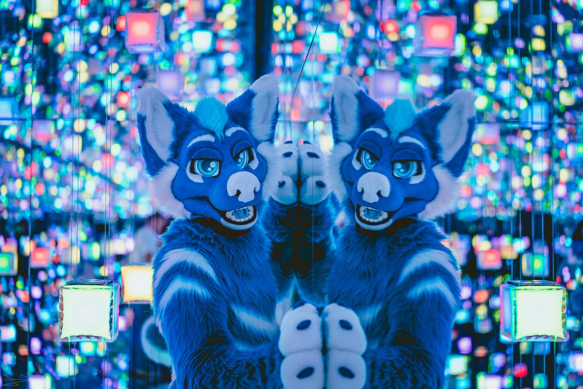 MarMarHusky's tweet photo. Wonder which one is the real one 🤔

📸: @LickTheProto https://t.co/NC7CtyLeZP