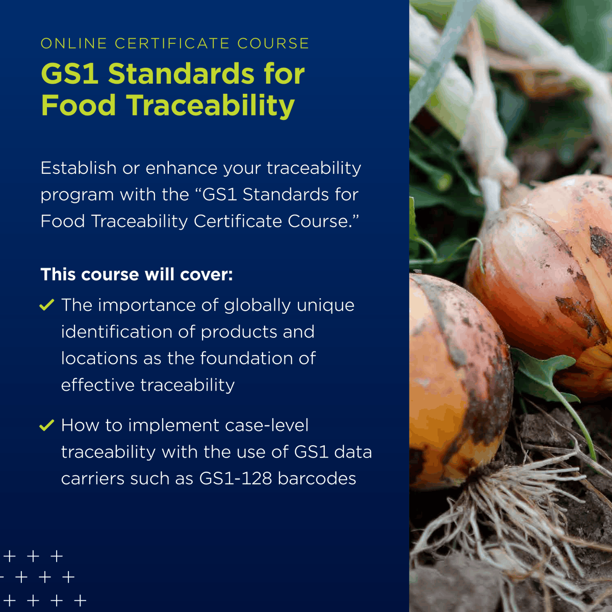 GS1_US's tweet photo. This #FoodSafetyMonth, save 50% on the GS1 Standards for Food Traceability Certificate Course with promo code FoodSafety and learn how GS1 Standards support visibility, recall readiness, and FSMA compliance. https://t.co/NIFIUV3Vv9 https://t.co/LKTsN63yKi