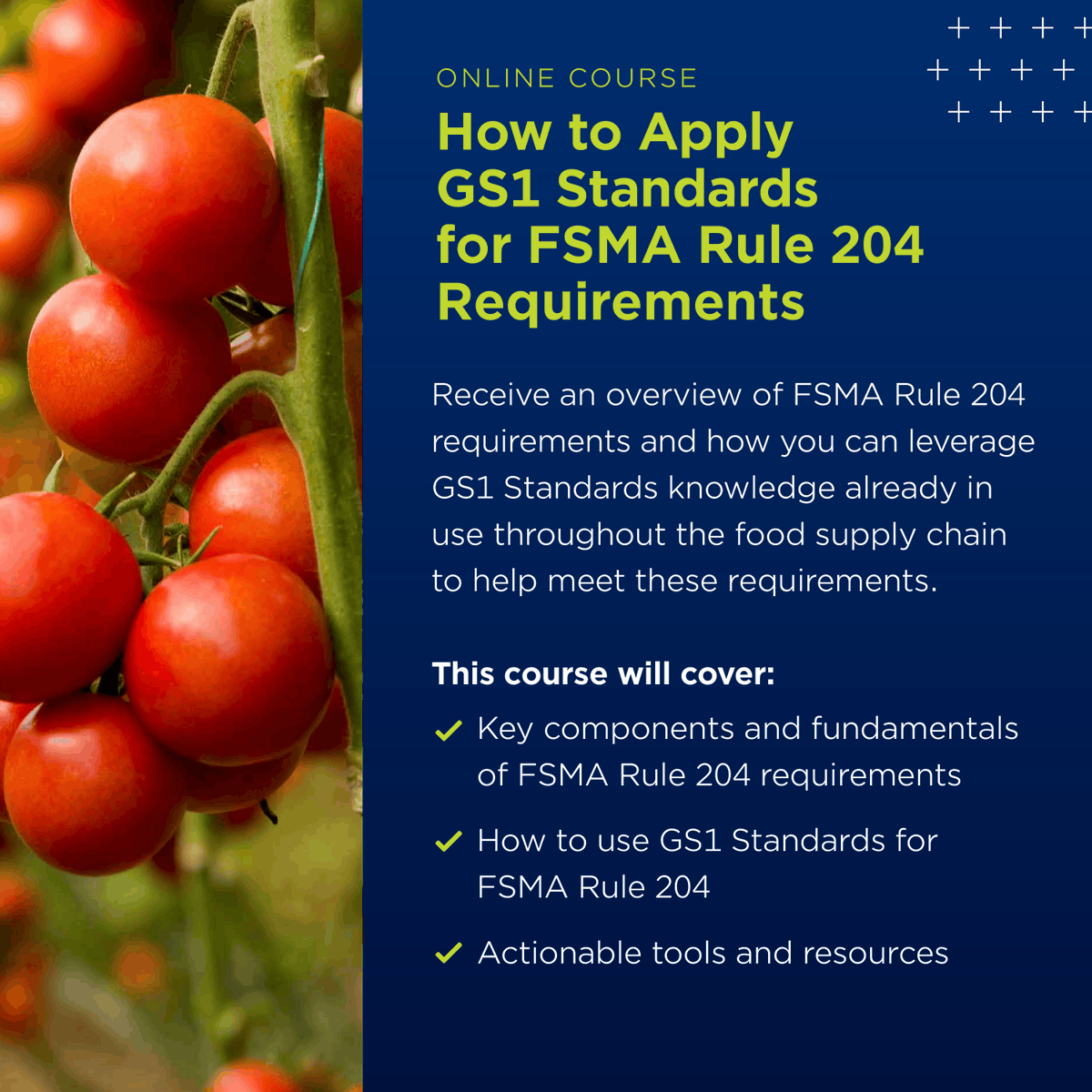 GS1_US's tweet photo. This #FoodSafetyMonth, save 50% on the GS1 Standards for Food Traceability Certificate Course with promo code FoodSafety and learn how GS1 Standards support visibility, recall readiness, and FSMA compliance. https://t.co/NIFIUV3Vv9 https://t.co/LKTsN63yKi