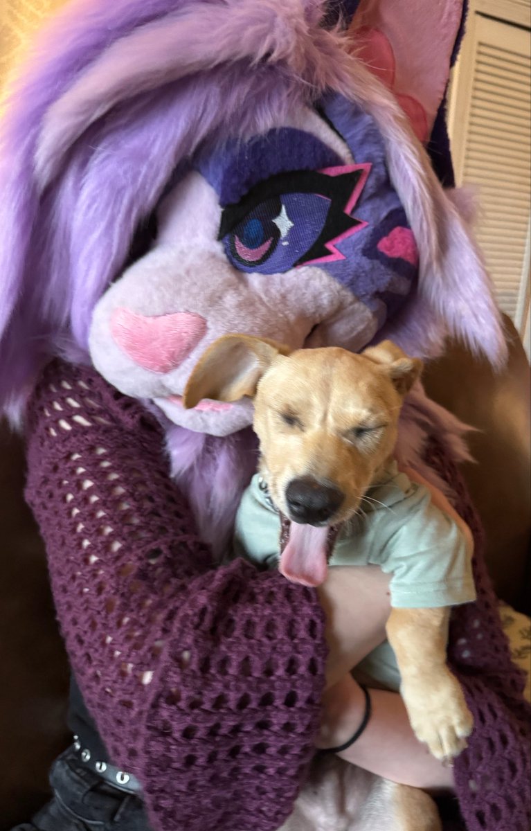 whimsiclaws's tweet photo. New dog just dropped. Now launching Lazlo https://t.co/IIZ0Ue14nV