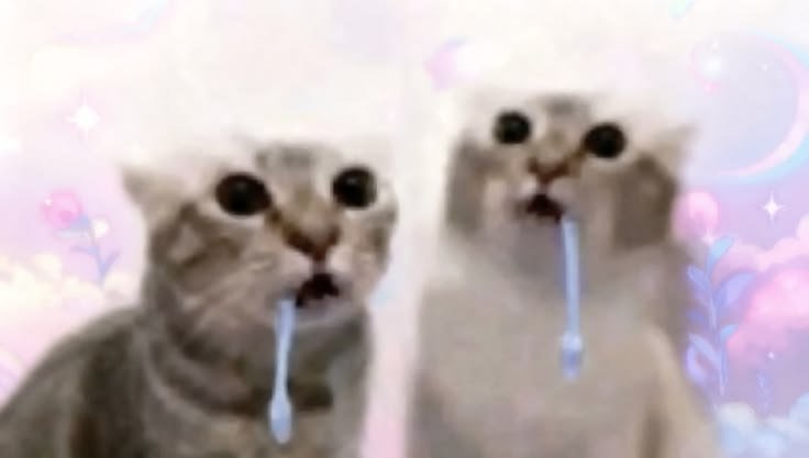 maniadevc's tweet photo. @dykyoto @tragiclver @traushmouth @f9lded @ivwnntill @pwlarism @jontexfdp https://t.co/RL8fQTTrT4
