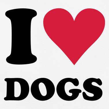 Lauradon30's tweet photo. Happiness being when you have a dog 🐶❤️https://t.co/3ddUbhwytA https://t.co/KtjtCfjFNY