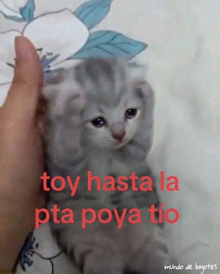 goodlynotes's tweet photo. Estoy a punto de hacer un esquema sobre los nervios del cuerpo humano. Pero mi procrastinación me detiene, no quiero hacer nada pero al mismo tiempo quiero hacer todo https://t.co/jFkXsdLoza