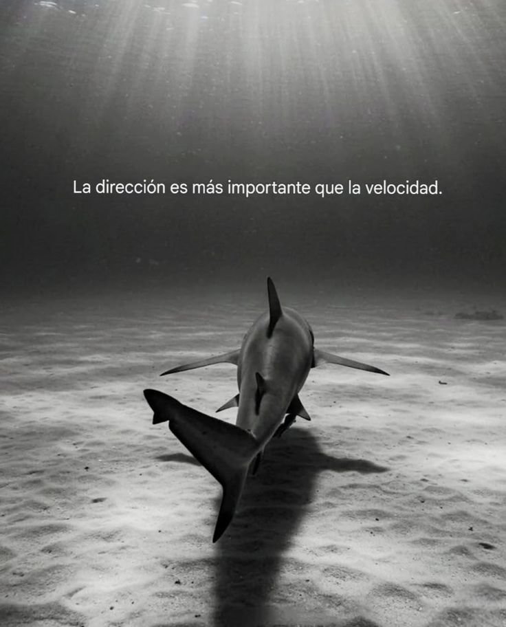 Keiru_01's tweet photo. No te distraigas. https://t.co/fDl6AHFCLW