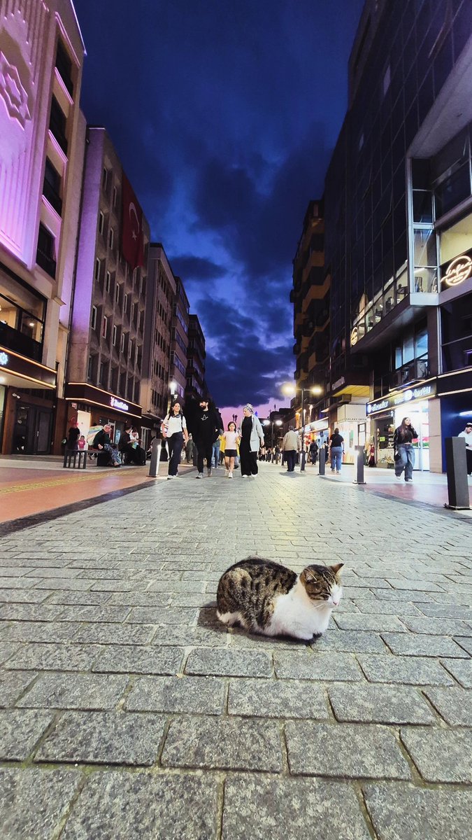 SRvda61's tweet photo. İnsan bazı boşlukları dolduramıyor belki ama oraya bakmayı öğrendikçe, hissetmenin ne büyük bir varlık olduğunu anlıyor.
İçimizdeki her eksik, değerini bulmayı bekleyen bir parça. https://t.co/eoEHJPZR7e
