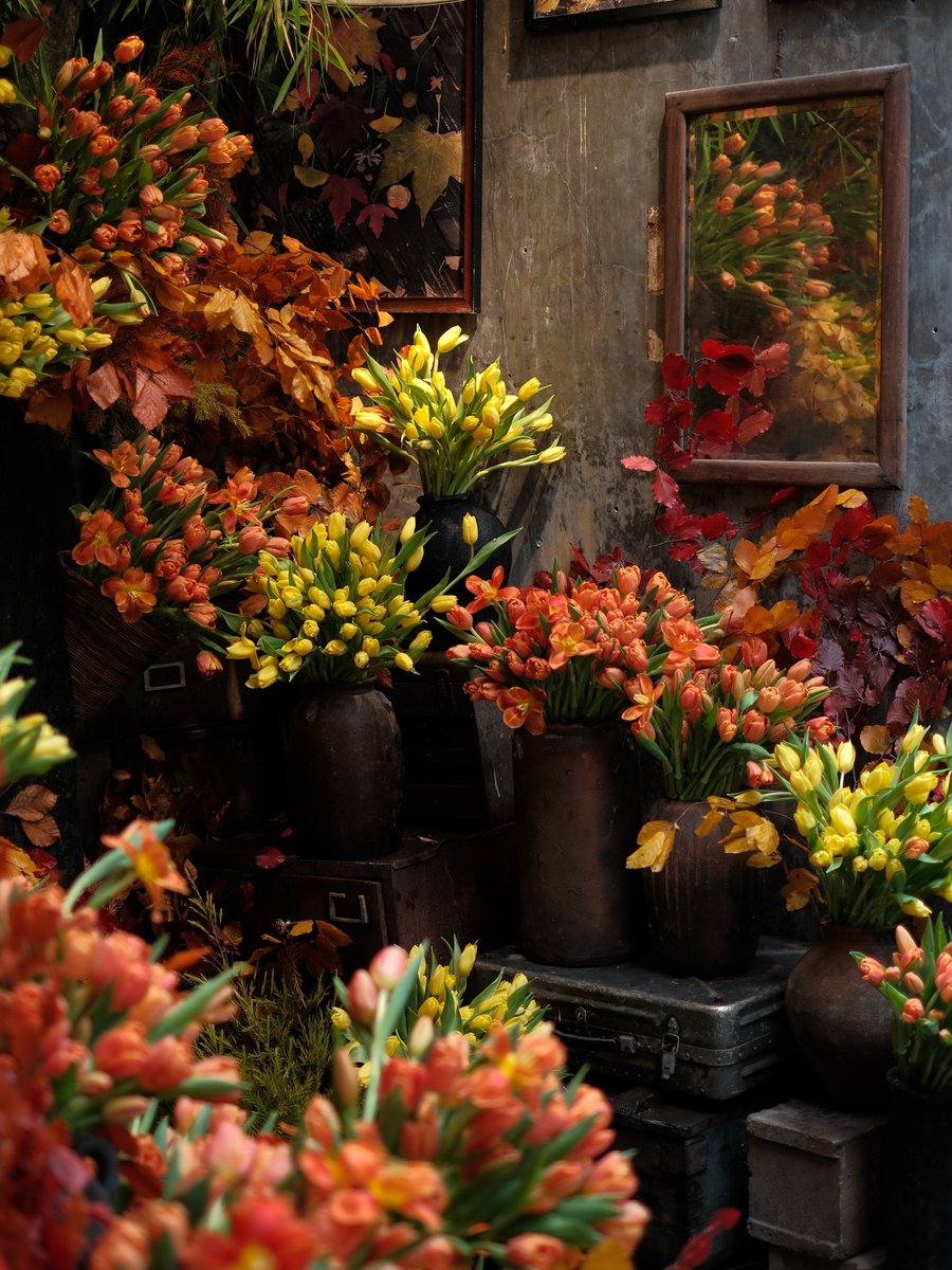 dreamyflowerrs's tweet photo. flower shop https://t.co/PdCzeHoDqZ
