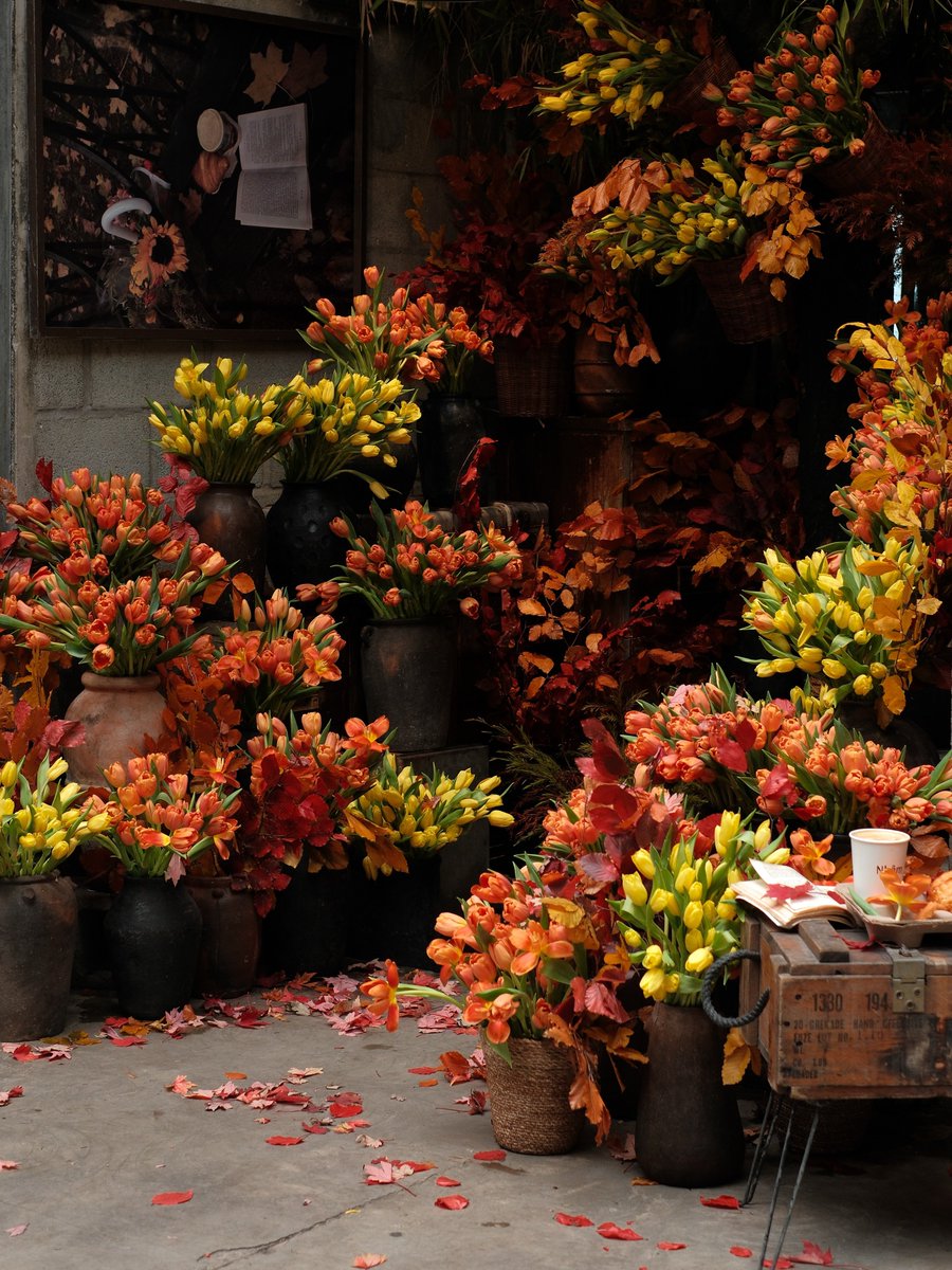 dreamyflowerrs's tweet photo. flower shop https://t.co/PdCzeHoDqZ