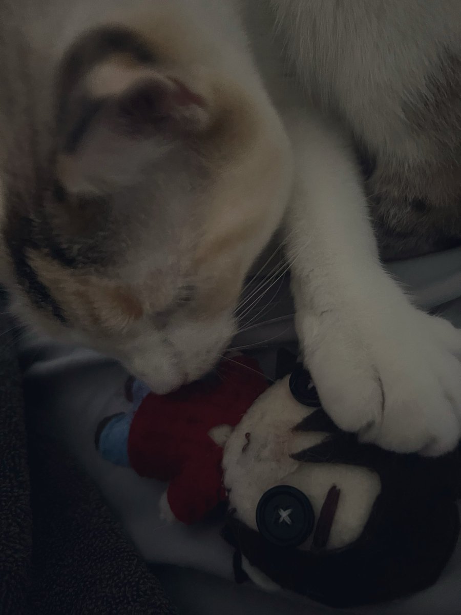 MikeyStrider's tweet photo. Please.. f*cking stop… https://t.co/jW9OI3GEPN