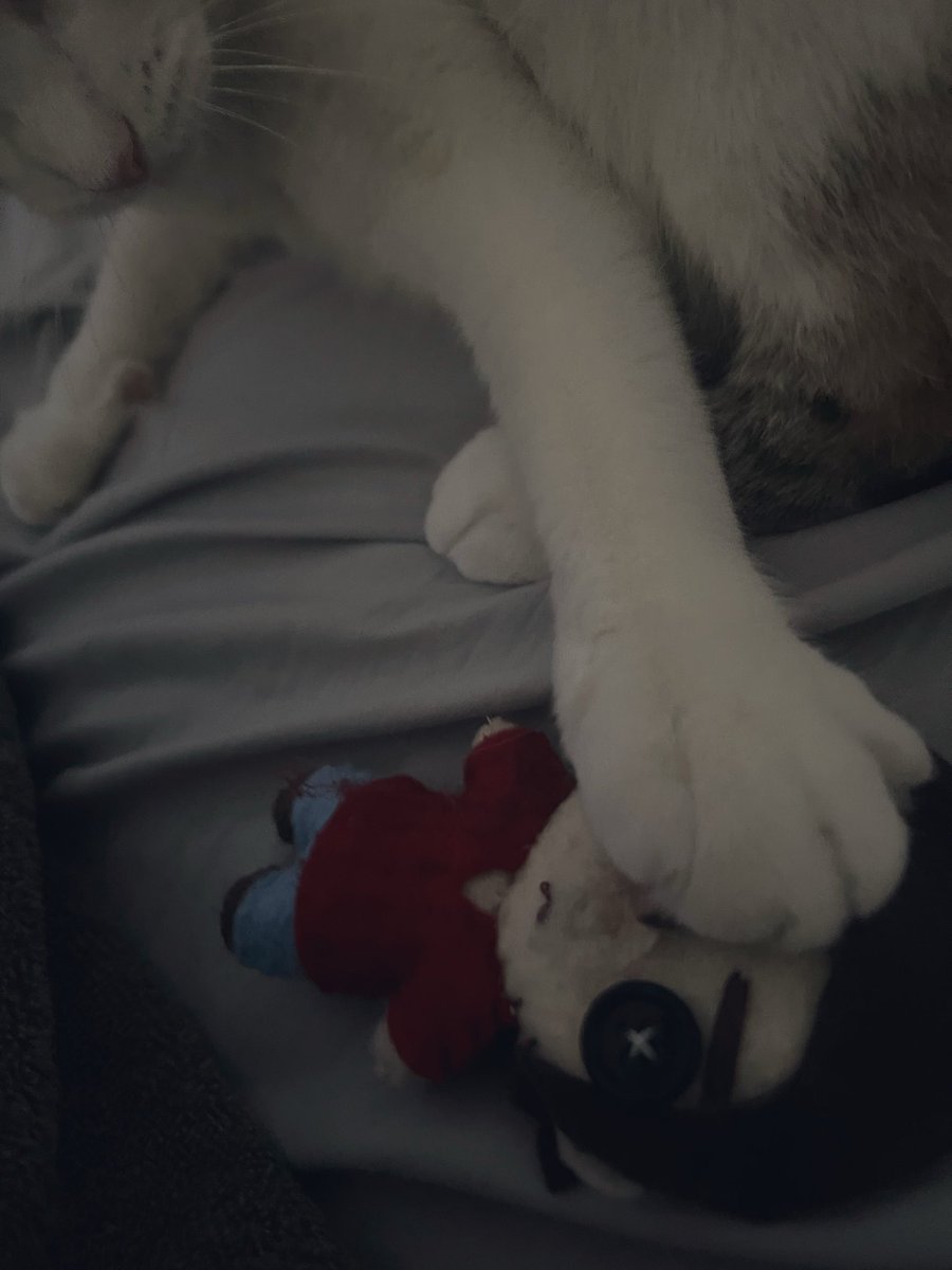 MikeyStrider's tweet photo. Please.. f*cking stop… https://t.co/jW9OI3GEPN