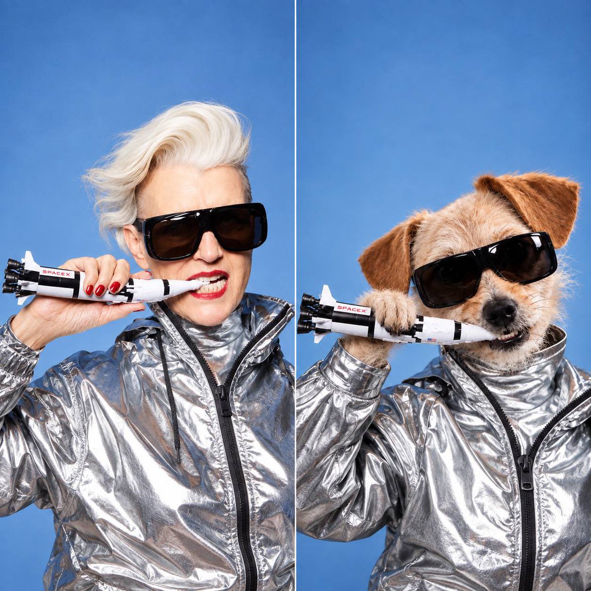CaliTheFanpage's tweet photo. Mars morning routine 🚀🐶 https://t.co/7sWqDvCDRj