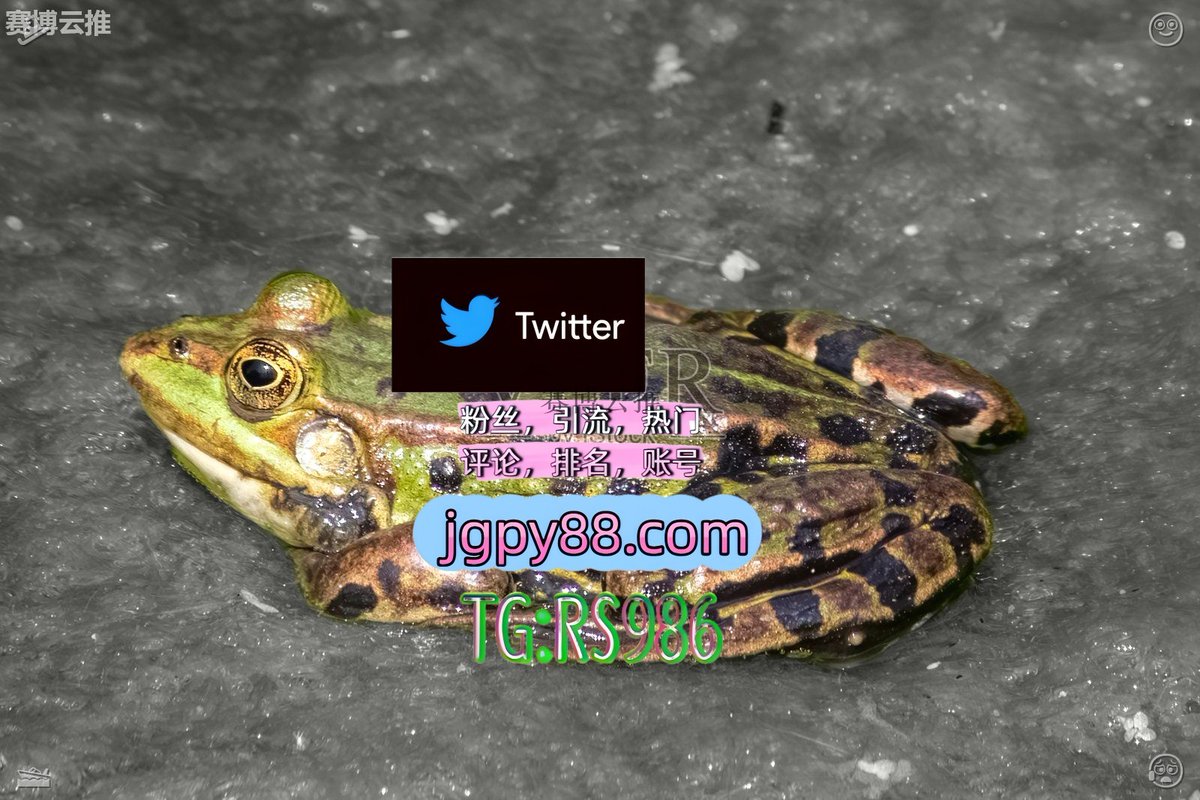 Patrick71533292's tweet photo. 不必讨好所有的人只做最真实的自己🥙
推特账号购买矩阵互动🌞輔助工具🌂 
自动脚本 推特矩阵系统、Twitter矩阵系统、X矩阵系统 中国台湾代发
关键词霸屏🧳熱門🌈权重号🌟推特老号🍄定時發推💐眉山 粉丝号
热门号宿州 推特矩阵管理、营销自动化、内容运营👈 https://t.co/tYgaouU9CV