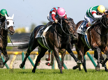 oriannecales's tweet photo. クラシック二冠馬ロブ・チェンが神戸新聞杯に出走します。9月21日、中山競馬場での開催は中止となりますが、阪神競馬場では通常通りレースが行われます。■クラシック二冠馬「ロブ・チェン」が神戸新聞杯に出走　阪神競馬場の第11レースは神戸新聞杯（GII・芝2400m）です。 https://t.co/pkkghiGjEe