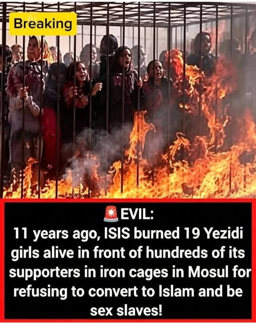 OldMechanic's tweet photo. Religion of Peace... https://t.co/0EiURAnUPM