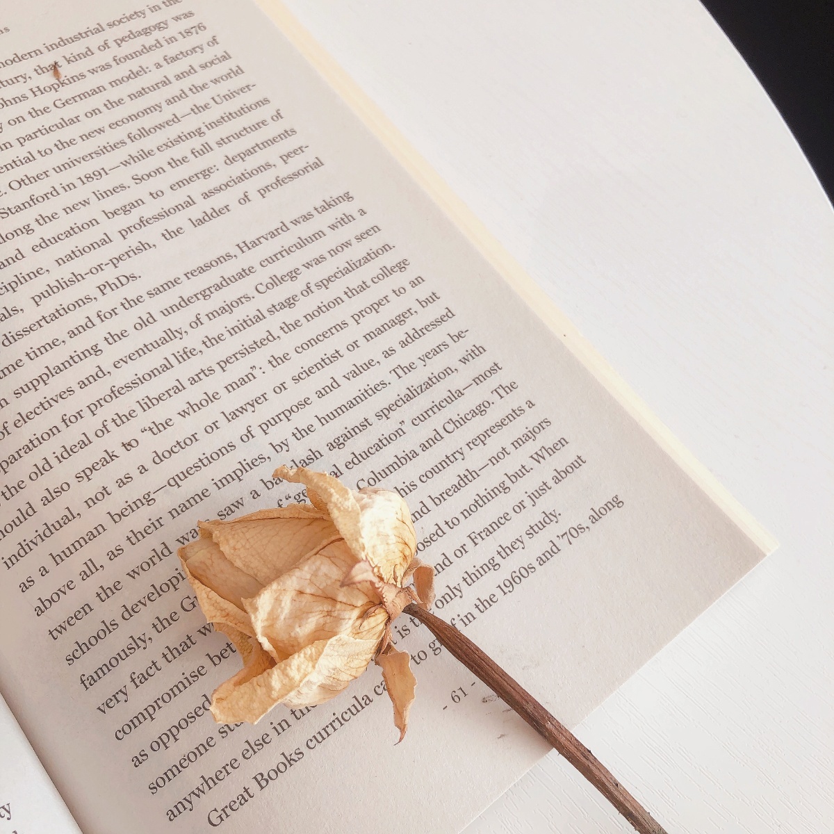 mulyadisopa's tweet photo. Just finished The Midnight Library—a brilliant, mind-bending read that makes you cherish every small moment in life. 10/10 would recommend to anyone needing a nudge to embrace their present! https://t.co/ANmW61feEt