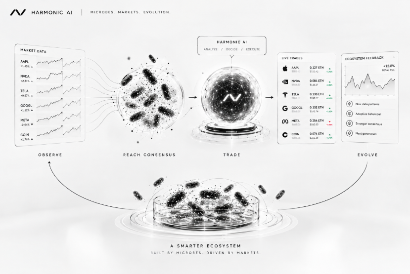 HarmonicEvo's tweet photo. The microbes are no longer confined to a simulated ecosystem.

They can now observe the market, reach consensus, and trade stocks.

Every decision becomes part of the evolutionary process.

The ecosystem is learning to navigate financial markets. https://t.co/2VwkOxokPI