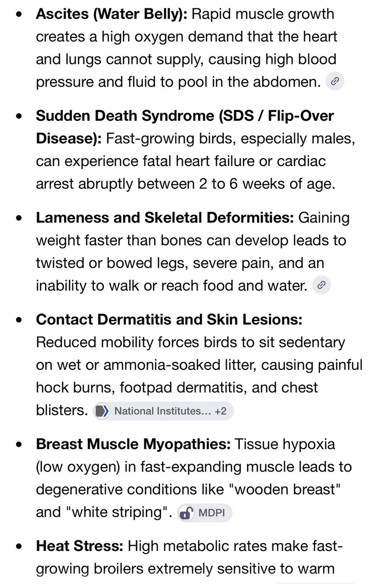 Ben02015's tweet photo. @anonemus349832 @AviBittMD No, it’s not paradise. Chickens, for example, have been engineered to grow far larger and faster than they would naturally, which leads to suffering from various health conditions. https://t.co/PDWz7DWsXs