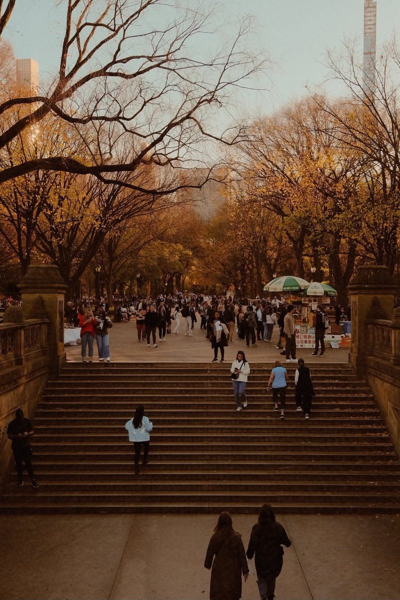 flower6260's tweet photo. autumn view of new york https://t.co/0cm4nSBaTU