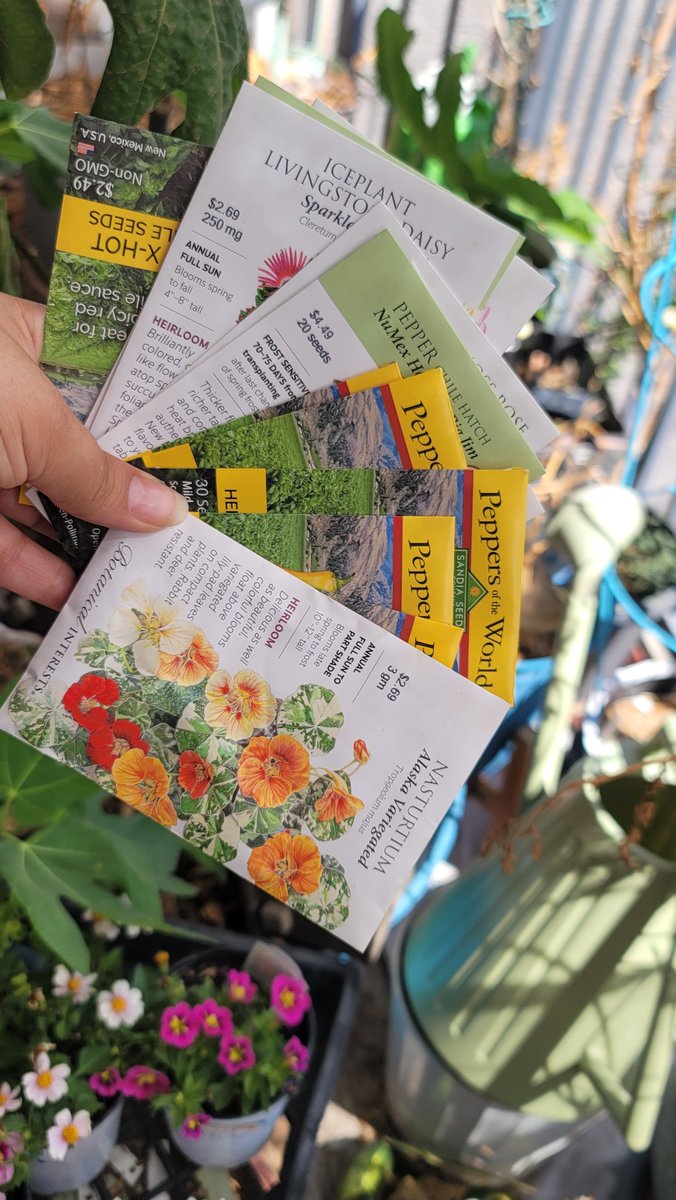 IntheAlmost's tweet photo. 'Tis the Season for seed shopping!! https://t.co/pGHlXXaXwR