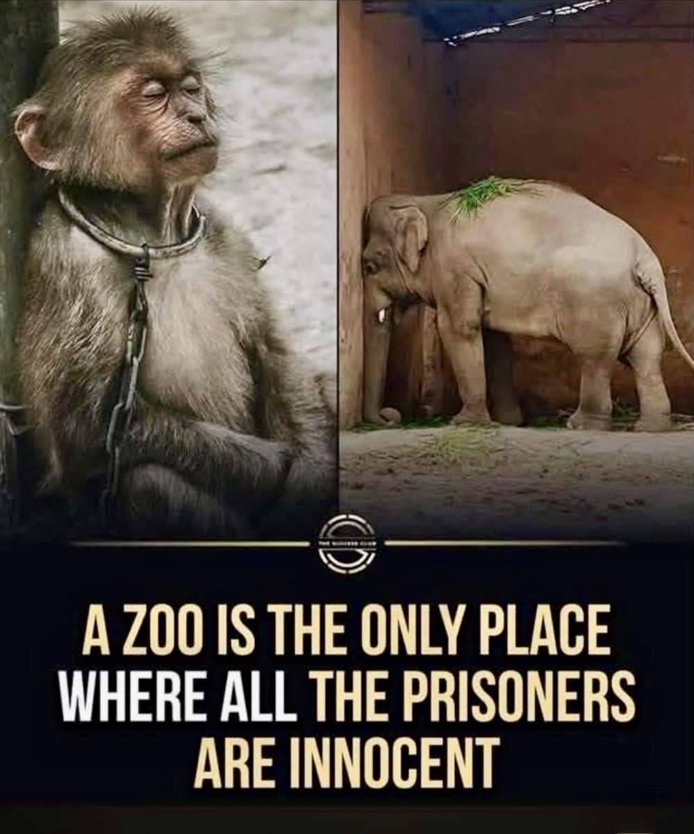 dazza_gee's tweet photo. https://t.co/KUTBI0TlZW