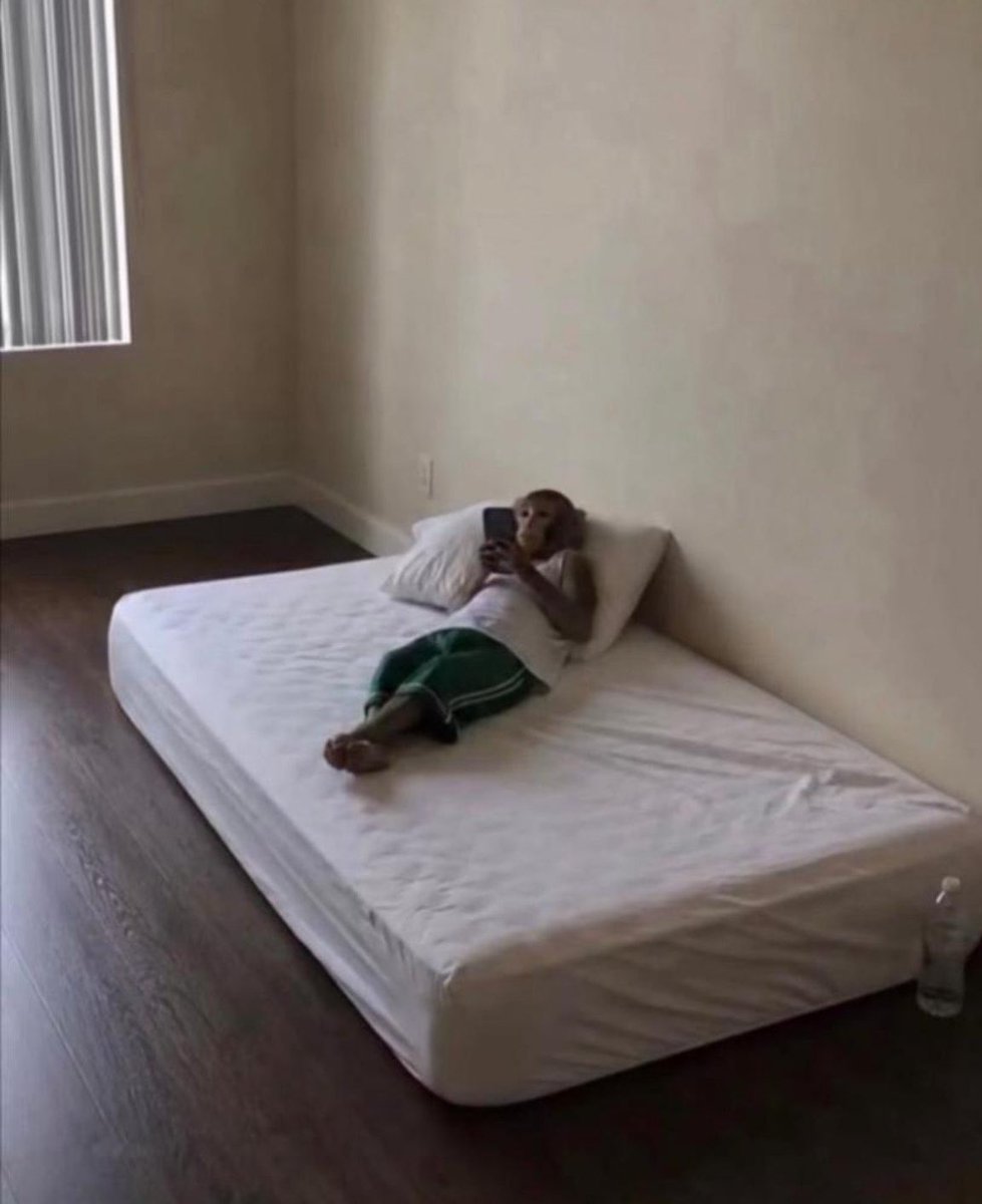 jrgorings's tweet photo. Don't let criticism destroy your dreams!

But remember this !!!
Dreams don’t survive on you showing up alone ,they survive on a passive income. If you want a change, you must be on the move.

So Stop watching others getting ready to start succeeding  and start building your own success lane.

OYASUMI NERDS 🌚✌🏽