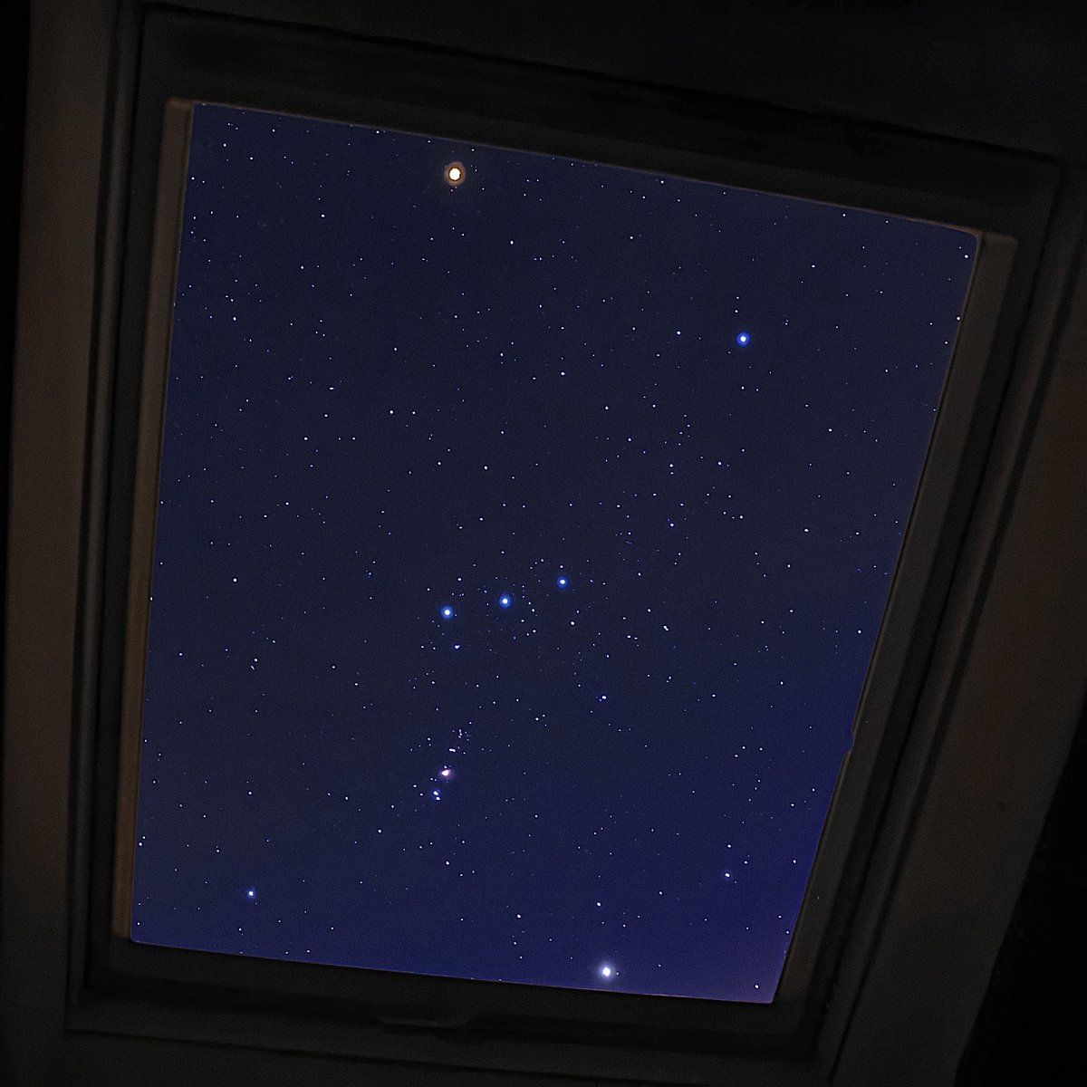 gardenofcolours's tweet photo. starry night https://t.co/KLvEJqOymq