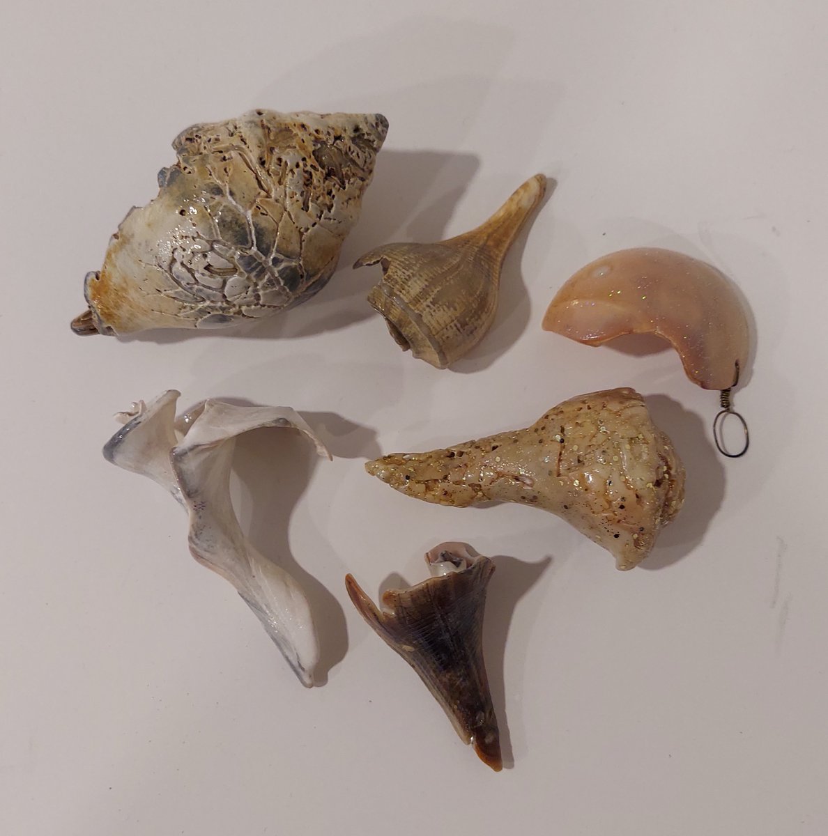 AngelaRienerth's tweet photo. !!!35% off!!! Painted Shell Ornaments, Vendor #629, available at Blue Crow Antique Mall, Painter, Va. @bluecrowantiques #shells #ornament #marine #ocean #beach #sand #painted #vintage #collectible #collector #collection #collectorsarewatching https://t.co/IeDvL4jDMb