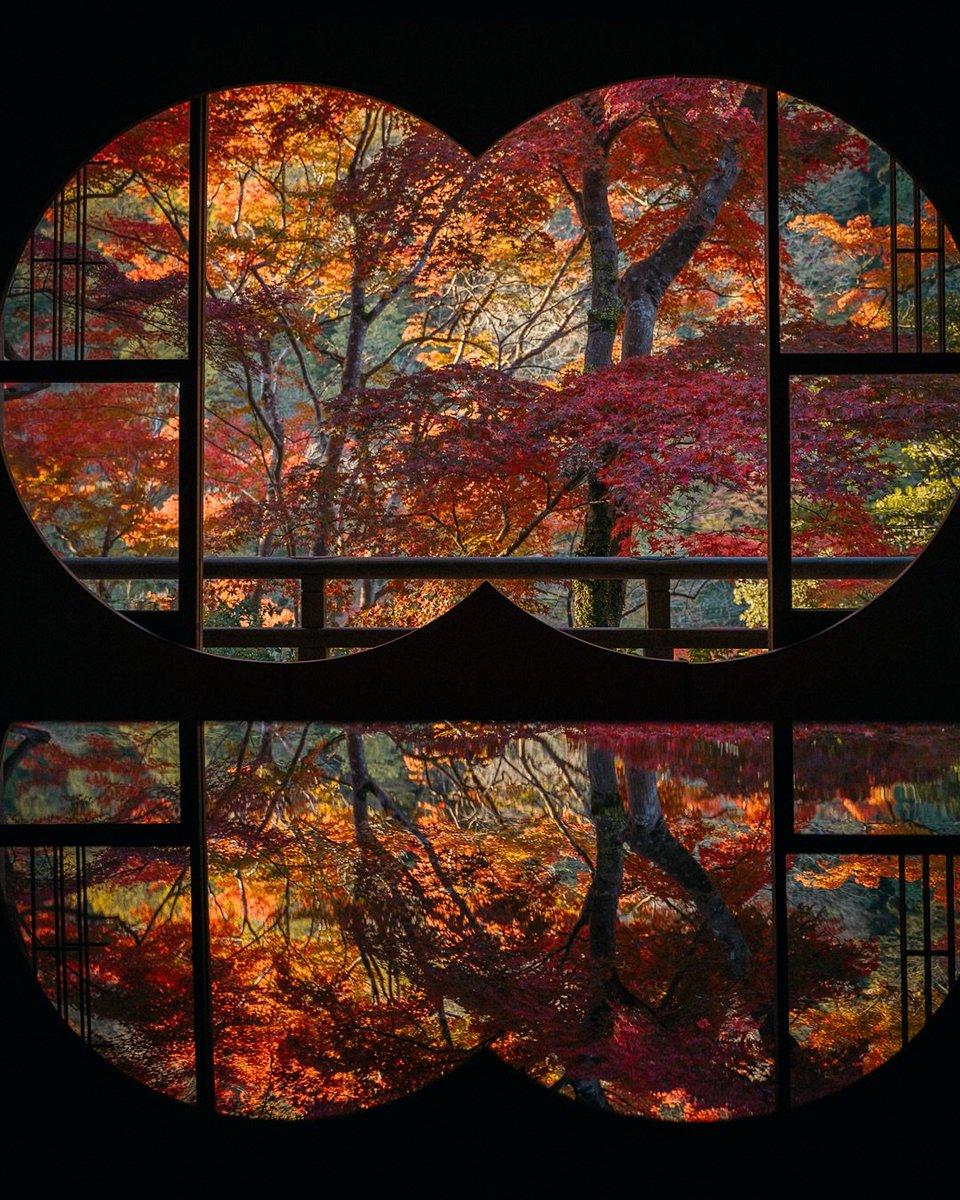 echoesofworld's tweet photo. Kyoto, Japan https://t.co/YBJgGAt5uf
