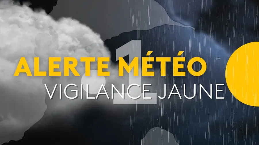 guadeloupela1e's tweet photo. #Meteo ⛈️🟡 On ti la pli si tol... Mais on reste prudent ! Fortes pluies et orages : la #Guadeloupe placée en vigilance jaune jusqu’à lundi soir https://t.co/6PjAfXGc10 https://t.co/PB8iPNtEUf