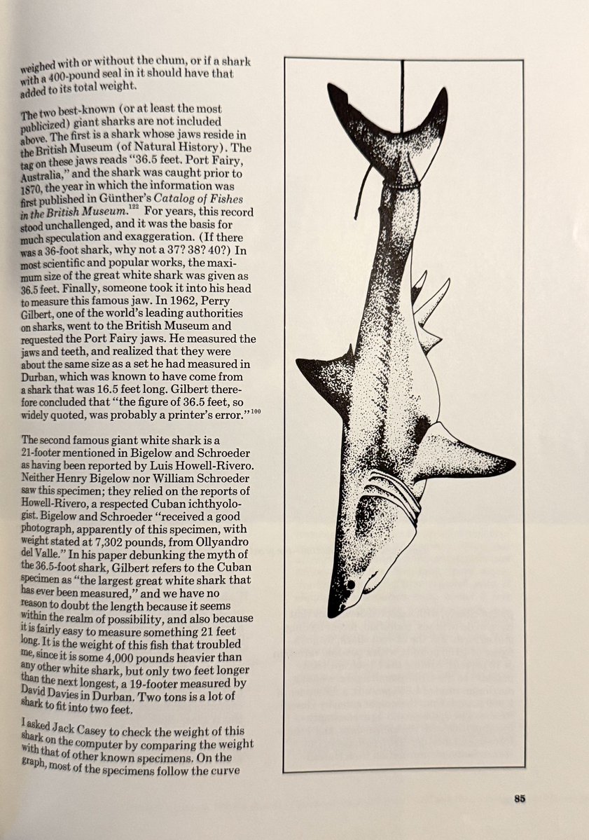 Visceral9000's tweet photo. I love these types of vintage nautical diagrams.

They are simple but feel so mysterious. Fitting for the vast untouchable abyss… https://t.co/d5CALuoGWR