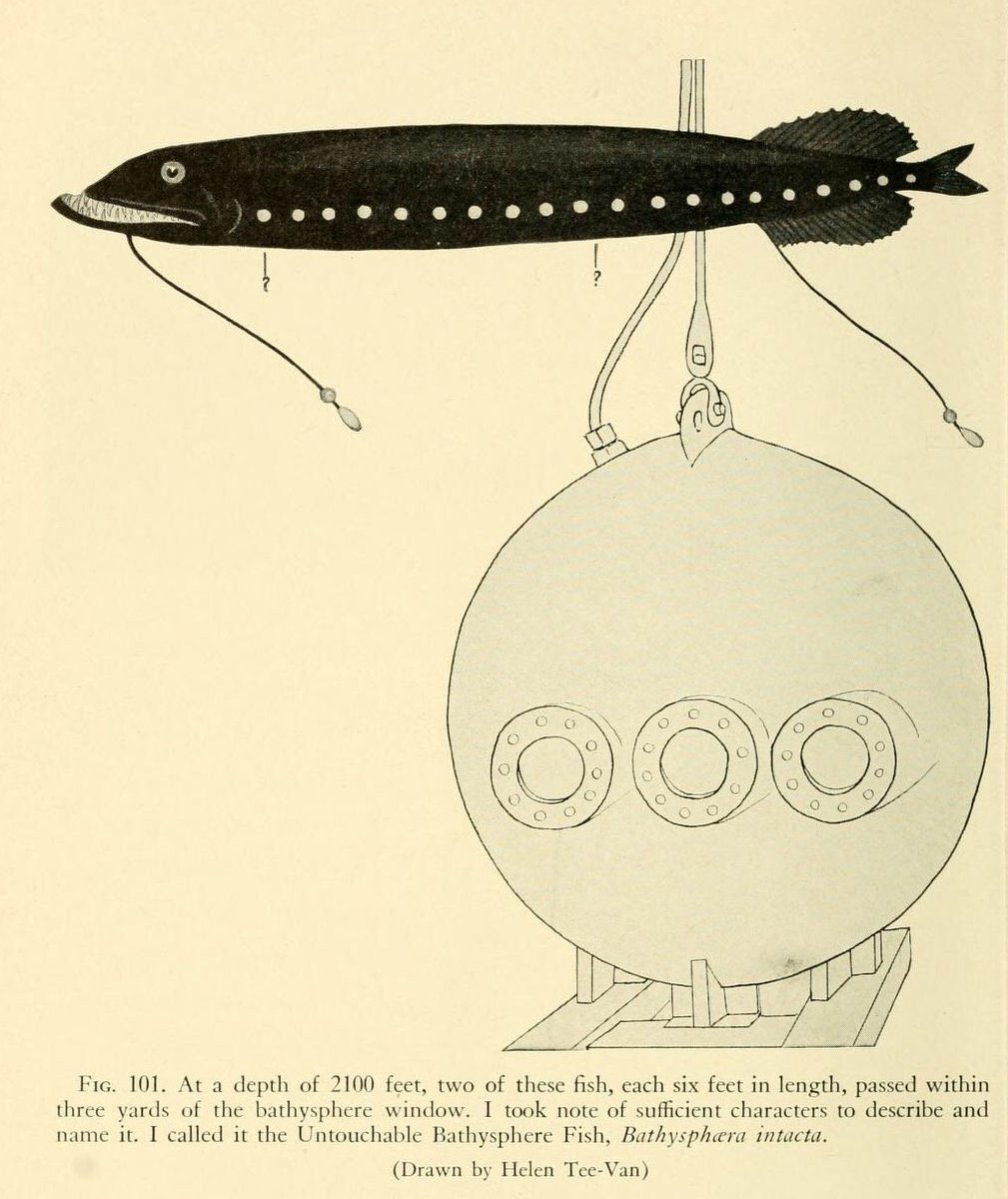 Visceral9000's tweet photo. I love these types of vintage nautical diagrams.

They are simple but feel so mysterious. Fitting for the vast untouchable abyss… https://t.co/d5CALuoGWR