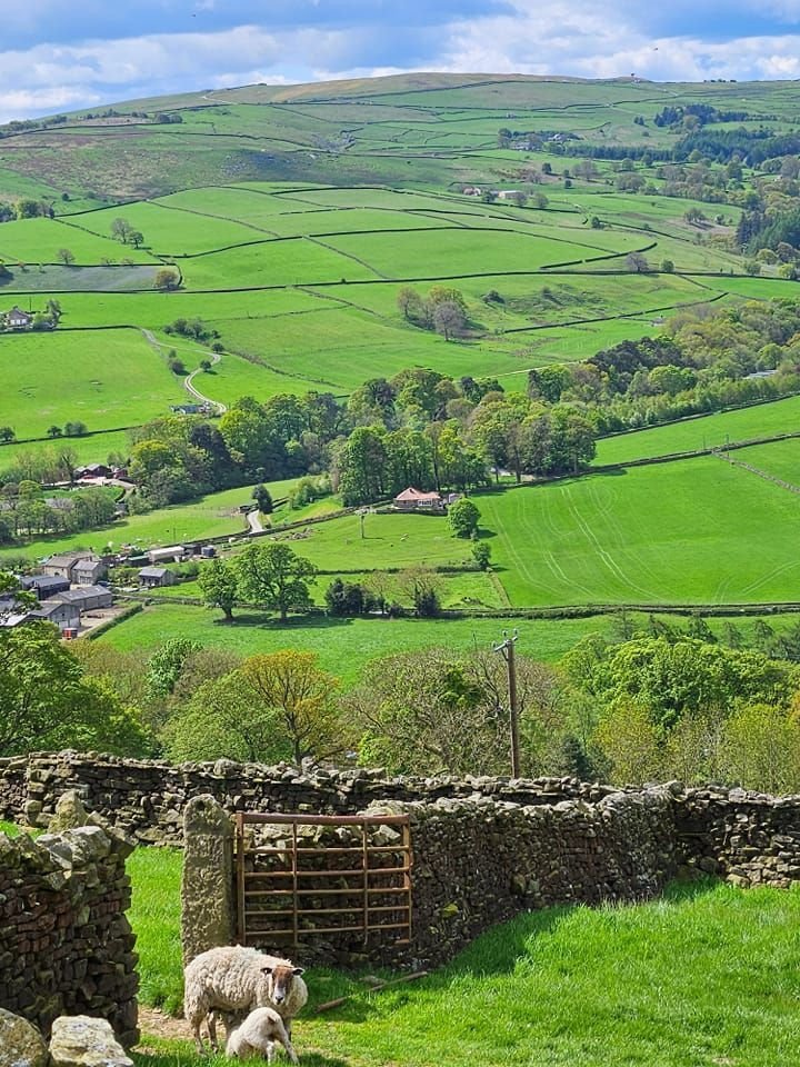 echoesofworld's tweet photo. Yorkshire, England https://t.co/bGp8K7mAnw