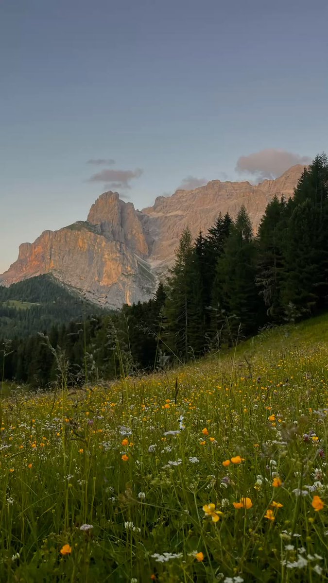 echoesofworld's tweet photo. Dolomites, Italy https://t.co/amKnJ10e8b