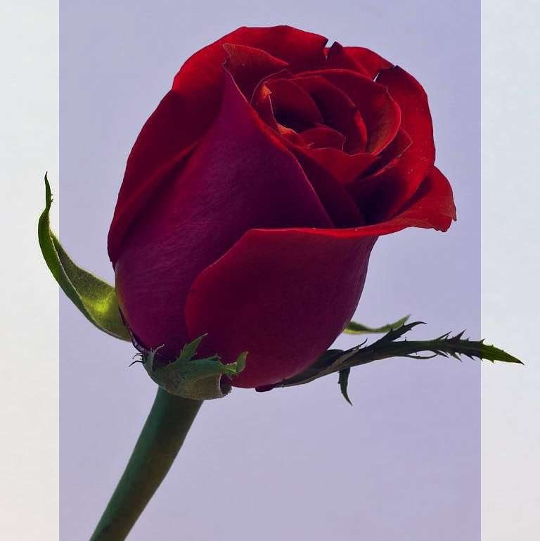 4178Z tweet picture