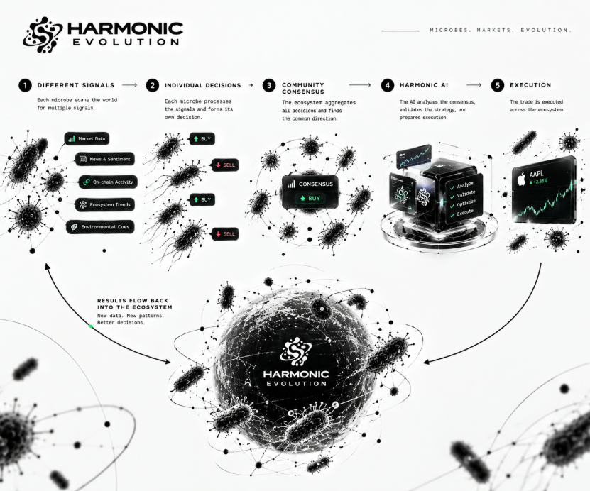 HarmonicEvo's tweet photo. The interesting part isn't simply watching a microbe buy or sell.

It's watching why the ecosystem reached that decision.

Different signals → individual decisions → community consensus → Harmonic AI → execution.

Then the result goes back into the ecosystem. https://t.co/RMdTP5cVnx