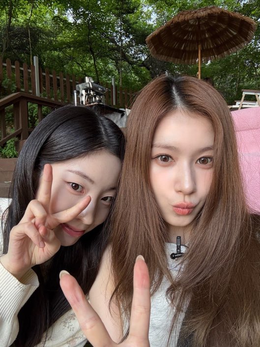myyouis's tweet photo. my saida crumbs.. https://t.co/x0trTzOObN