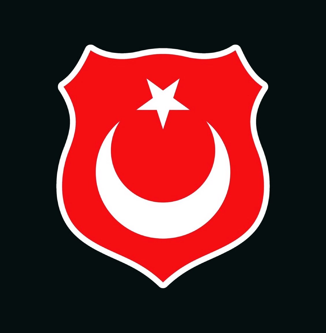 consahins's tweet photo. SADECE BEŞİKTAŞ. https://t.co/btiUT95EWB