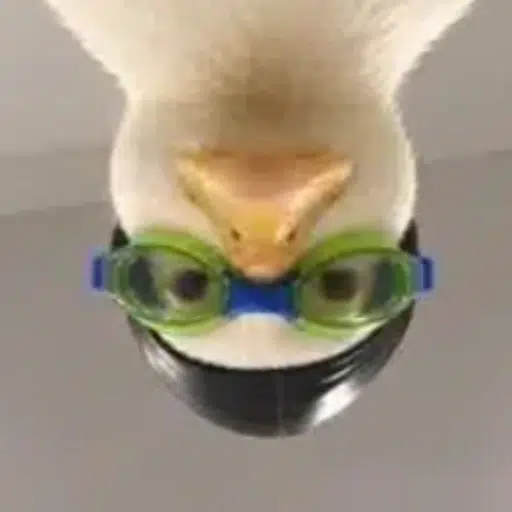 Madukesonsol's tweet photo. As the Nasduck dev, this makes most sense to run kcudsaN

dex insta https://t.co/mM7BkuFgAr